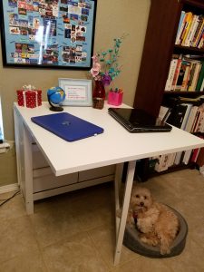 Our Writing Space - Writing your first book